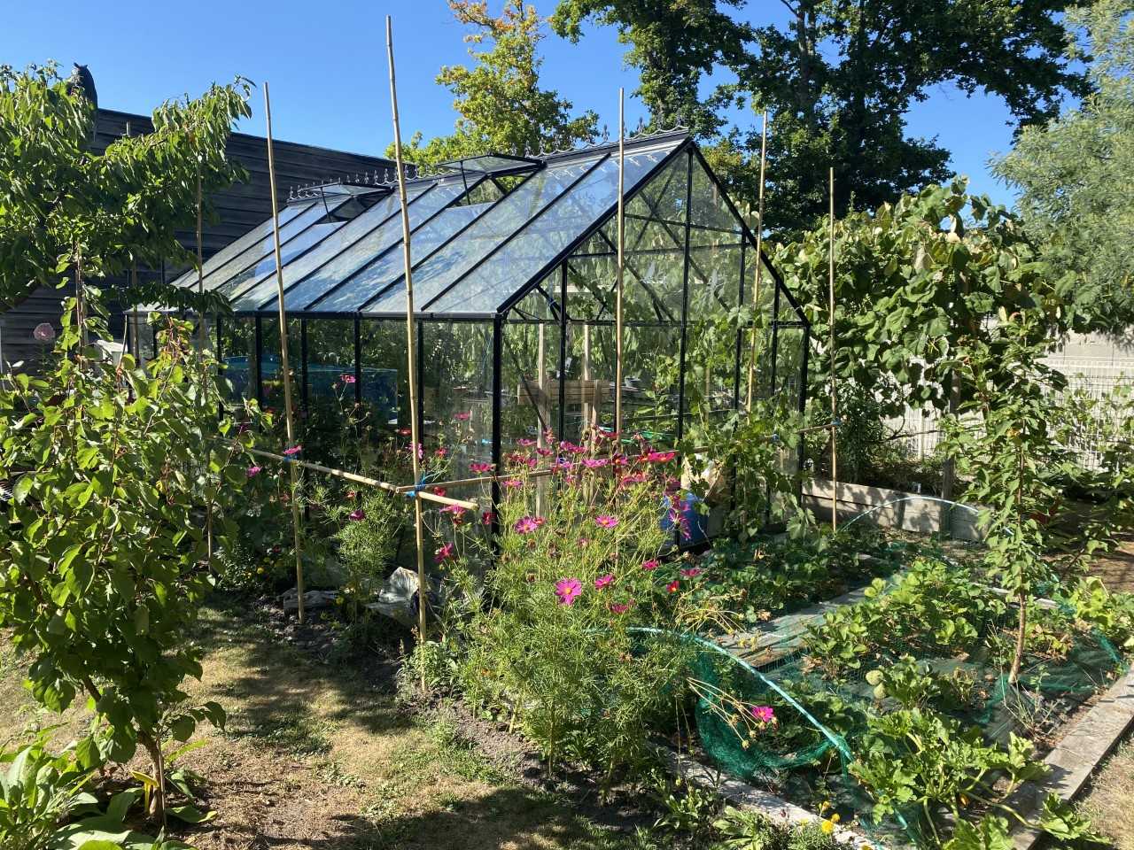 Serre de jardin protégée contre le vent