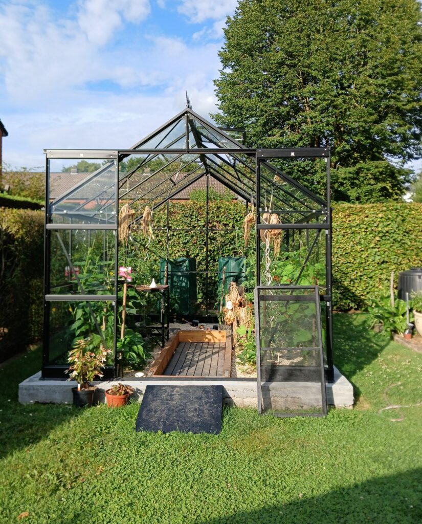 Aménagement serre de jardin de 6m2