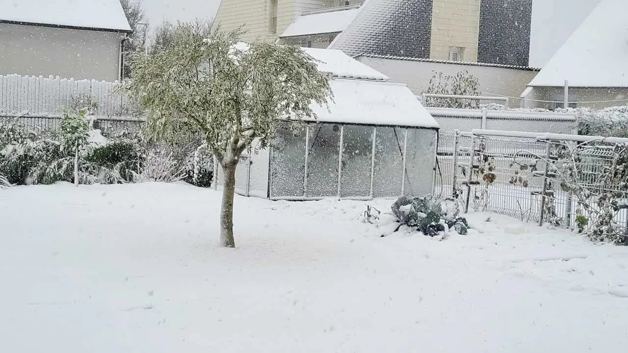 Serre de jardin en hiver sous la neige