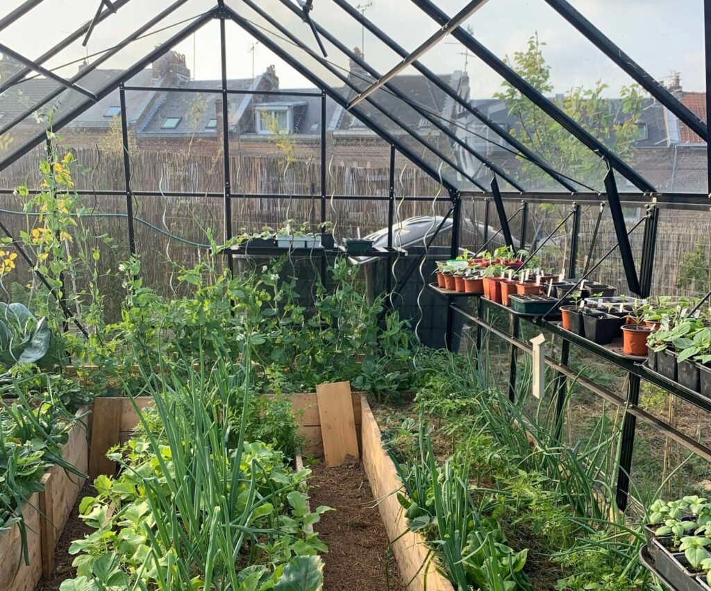 Serre de jardin au printemps