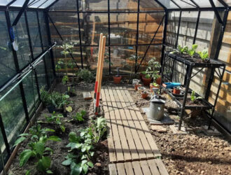 Plantations dans une serre au printemps