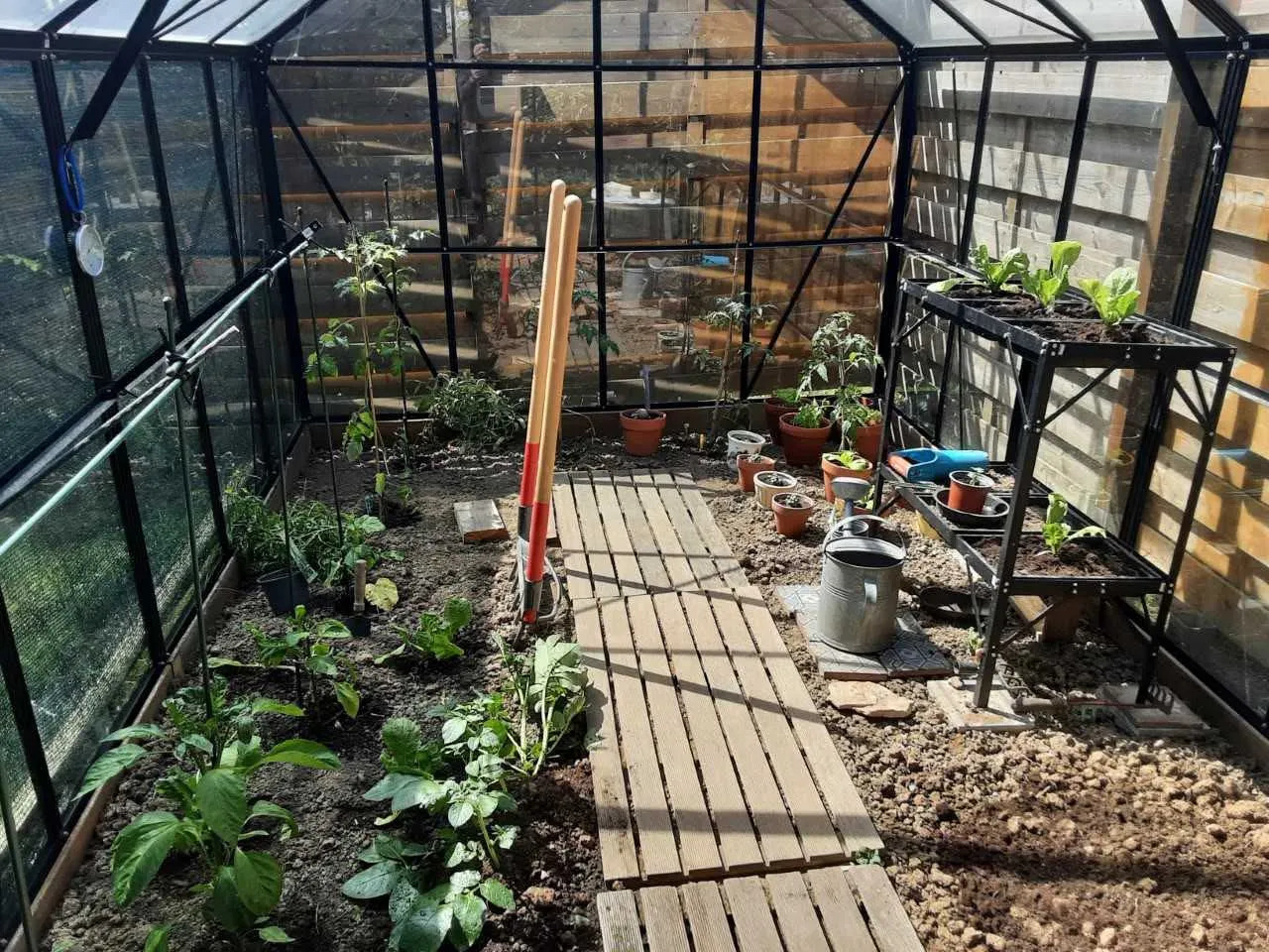 Plantations dans une serre au printemps