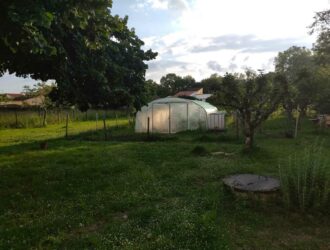 Photo d'une serre tunnel dans un jardin